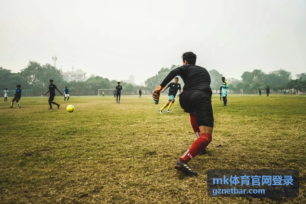 mk体育官网登录数据观察卡片封面图